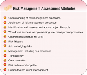 Risk Management Assessment Attributes